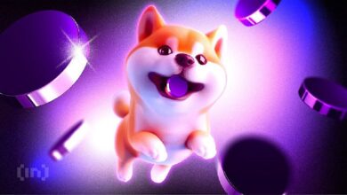 ¡Descubre la Ruptura de la Correlación entre Shiba Inu y Bitcoin: Precio Cae un 11%! - Cripto Boom