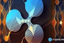 ¿XRP déjà vu? Descubre cómo Ripple alcanza $25 en 2025 - Cripto Boom