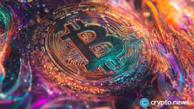 Adopción de Bitcoin y uso de psicodélicos: Sembrando un nuevo mundo | Opinión - Cripto Boom