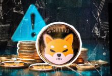 Ejecutivo de Shiba Inu (SHIB) Advierte a la Comunidad Cripto: "Sé Inversor, No Jugador" - Cripto Boom