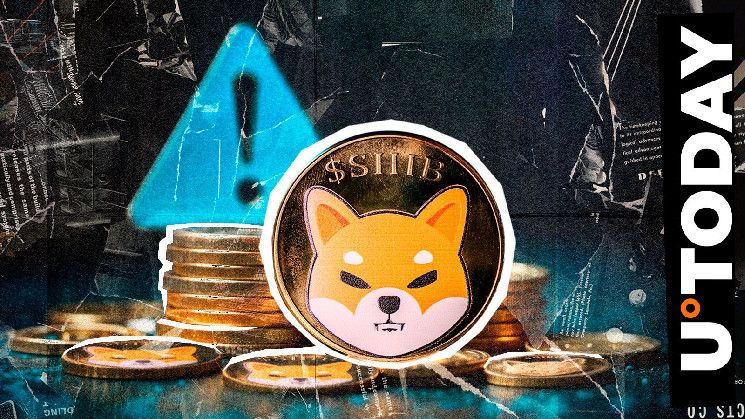 Ejecutivo de Shiba Inu (SHIB) Advierte a la Comunidad Cripto: "Sé Inversor, No Jugador" - Cripto Boom