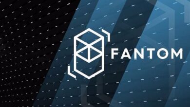 Analista Anuncia Fin de la Tendencia Bajista de Fantom (FTM), ¿Rumbo al $1? ¡Descúbrelo! - Cripto Boom