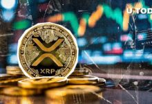 f2f98c76331f8b51976e ¡XRP se Dispara un 14,134% en 24 Horas por Desequilibrio de Liquidación! Descubre los Detalles Aquí