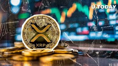 f2f98c76331f8b51976e ¡XRP se Dispara un 14,134% en 24 Horas por Desequilibrio de Liquidación! Descubre los Detalles Aquí