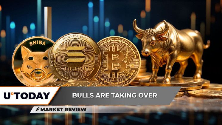 ¿Ha Terminado la Tendencia Alcista de Shiba Inu (SHIB)? Solana (SOL) Muestra un Patrón Problemático en el RSI, Próxima Resistencia de Bitcoin (BTC): $84,000. ¡Descubre Más! - Cripto Boom