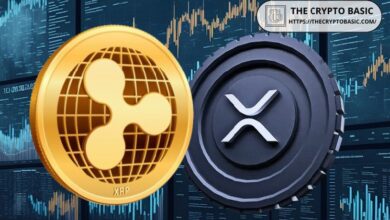 f3df4ea1c445e8628cf3 Experto Revela Consejos Clave para Inversores de XRP en Medio de la Nueva Alianza Humanitaria de Ripple - Descubre Más Aquí