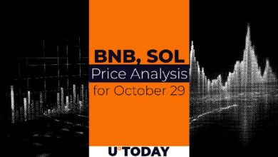 Predicción del Precio de BNB y SOL para el 29 de Octubre: ¡Descubre las Tendencias! - Cripto Boom