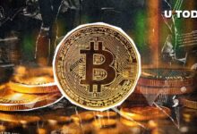 Esto dice el análisis: Modelo de Bitcoin (BTC) a $100,000 desde 2020 sigue vigente, ¡descúbrelo! - Cripto Boom