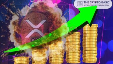 XRP Preparado para un Gran Aumento, Analista Afirma que se Aproxima una Explosión: ¡Descubre Más! - Cripto Boom