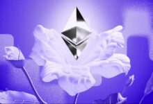 f7736435350baf2fd14d Rally del Precio de Ethereum (ETH) a $2,600: Explora los Riesgos Inquietantes