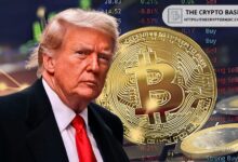 f82b48829417a4cfb3a1 Los Criptoactivos de Donald Trump Aumentan en $6.1 Millones en 2024: ¡Descubre el Impacto de los Memecoins!