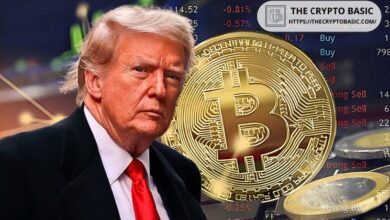 f82b48829417a4cfb3a1 Los Criptoactivos de Donald Trump Aumentan en $6.1 Millones en 2024: ¡Descubre el Impacto de los Memecoins!