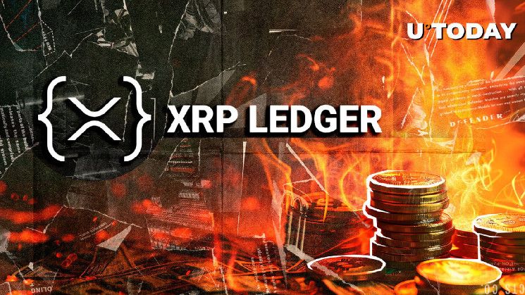 Error Grave: Usuario de XRP Ledger Quema Accidentalmente 10,000 Tokens - ¡Descubre cómo sucedió! - Cripto Boom