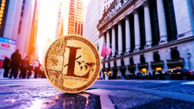 fae5a1ed74ab50ed1840 Canary Capital presenta solicitud S-1 para el primer ETF de Litecoin en el mercado estadounidense: ¡Descubre las oportunidades!