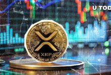 faecfc60cf05f834562a XRP Aumenta un 50% pero Pierde un 30% en Este Métrico: ¡Descubre Qué Sucede!