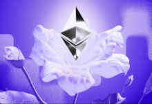 Inversores a Largo Plazo de Ethereum (ETH) Apuntan a $3,000 en Medio de Creciente Optimismo - Descubre Más - Cripto Boom