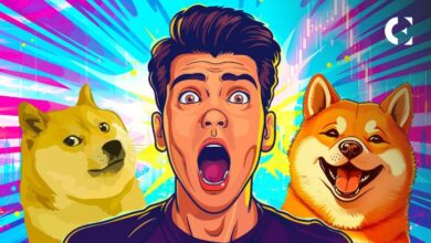 Dogecoin y Shiba Inu: Una Espada de Doble Filo para Inversores Cripto - Descubre Más - Cripto Boom