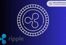 fd7096109429c72cbd2d Experto Advierte: Ripple Podría Perder su XRP y Otros Activos si Esto Sucede - ¡Descubre por Qué!