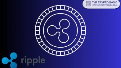 fd7096109429c72cbd2d Experto Advierte: Ripple Podría Perder su XRP y Otros Activos si Esto Sucede - ¡Descubre por Qué!