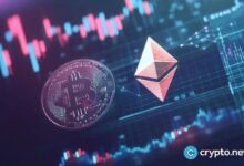 fddb474da16fe39e0e1f Ballenas de Ethereum compraron $254 millones en ETH a pesar del aumento de flujos en intercambios: ¡Descubre por qué!