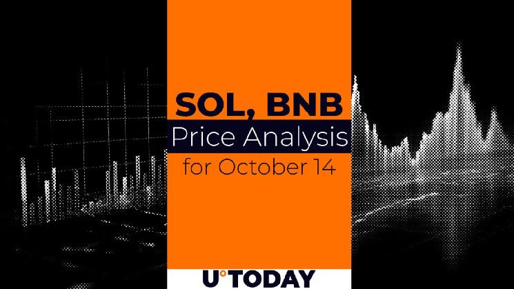 ff4445ba2dc1560a71f9 Predicción de Precios de SOL y BNB para el 14 de Octubre: ¡Descubre las Tendencias Hoy!