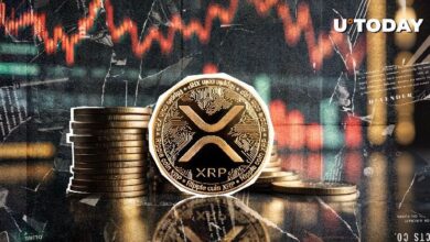 Trader Destacado de Criptomonedas Lanza Polémica Predicción para el Precio de XRP – ¡Descubre por qué! - Cripto Boom