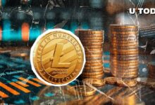 407,510 Litecoin en una Transacción: ¿Qué Está Sucediendo? Descúbrelo Ahora - Cripto Boom