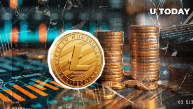 407,510 Litecoin en una Transacción: ¿Qué Está Sucediendo? Descúbrelo Ahora - Cripto Boom