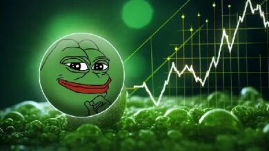 ¡PEPE Sube un 117% en Precio, Alcanzando un Máximo Histórico de $0.000025! - Cripto Boom