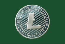 Litecoin (LTC) sube, ¿pero puede convertirse en una moneda meme? Descúbrelo ahora. - Cripto Boom