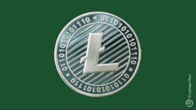 Litecoin (LTC) sube, ¿pero puede convertirse en una moneda meme? Descúbrelo ahora. - Cripto Boom