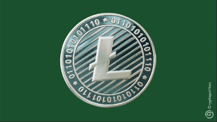 Litecoin (LTC) sube, ¿pero puede convertirse en una moneda meme? Descúbrelo ahora. - Cripto Boom