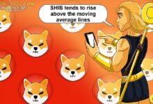 Shiba Inu se Recupera: ¿Puede Superar la Barrera de $0.00001950? - Cripto Boom