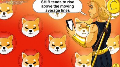 Shiba Inu se Recupera: ¿Puede Superar la Barrera de $0.00001950? - Cripto Boom