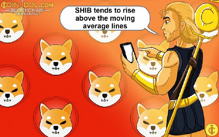 Shiba Inu se Recupera: ¿Puede Superar la Barrera de $0.00001950? - Cripto Boom