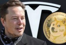 Elon Musk evita demanda de $258 mil millones por Dogecoin: inversores retiran apelación. ¡Descubre los detalles! - Cripto Boom