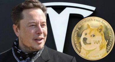 Elon Musk evita demanda de $258 mil millones por Dogecoin: inversores retiran apelación. ¡Descubre los detalles! - Cripto Boom