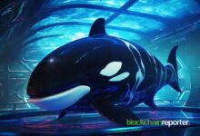 Ballena Cripto Pierde $1.44 Millones en Inversiones de SOL Durante Caída del Mercado - Descubre qué Pasó - Cripto Boom