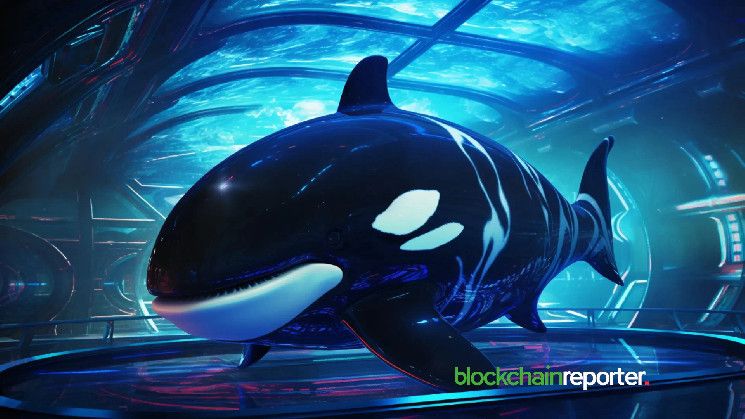 Ballena Cripto Pierde $1.44 Millones en Inversiones de SOL Durante Caída del Mercado - Descubre qué Pasó - Cripto Boom