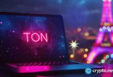 Toncoin en riesgo: ¡Descubre por qué HMSTR, Catizen, Notcoin y el volumen de quema se desploman ahora! - Cripto Boom