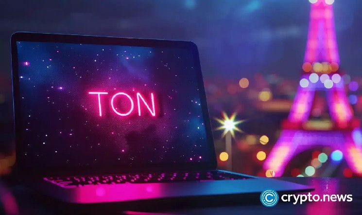 Toncoin en riesgo: ¡Descubre por qué HMSTR, Catizen, Notcoin y el volumen de quema se desploman ahora! - Cripto Boom