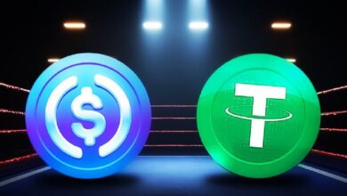 USDT o USDC: Descubre las claves para elegir la mejor stablecoin ahora - Cripto Boom