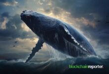 Crypto Ballena Gana $4.81M en Binance con $PEPE: Descubre Cómo Lo Hizo! - Cripto Boom