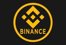 ¡Binance Anuncia Nuevos Pares USDC en Plataforma de Margen! Descubre los Detalles - Cripto Boom