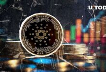 Cardano (ADA) Listo para un Aumento del 42%, ¡Descubre el Detalle Clave! - Cripto Boom