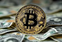 ¡Bitcoin Aumenta a $100,000! Analista il Capo Sigue Escéptico: Descubre 5 Razones - Cripto Boom