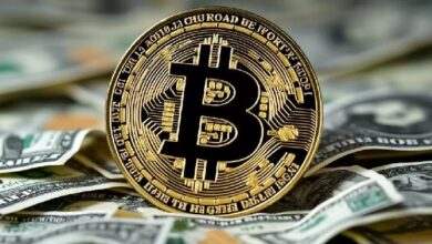 ¡Bitcoin Aumenta a $100,000! Analista il Capo Sigue Escéptico: Descubre 5 Razones - Cripto Boom