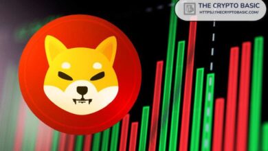 Analista Destacado Asegura que Shiba Inu se Prepara para un Impresionante Aumento del 200% - Descubre Más - Cripto Boom