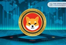 Líder de Shiba Inu Afirma que SHIB Compite con Cardano y XRP, No con Memecoins - Descubre Más Aquí - Cripto Boom