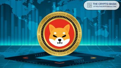 Líder de Shiba Inu Afirma que SHIB Compite con Cardano y XRP, No con Memecoins - Descubre Más Aquí - Cripto Boom